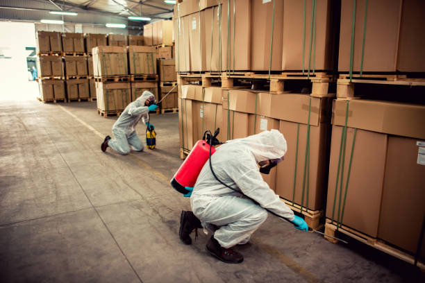 Best Best Pest Control Companies  in Burley, WA