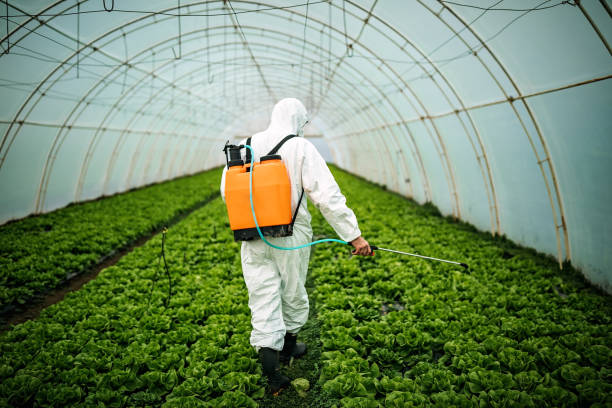 Best Residential Pest Control  in Burley, WA