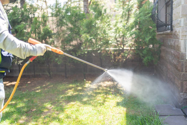 Best Mosquito Control Services  in Burley, WA