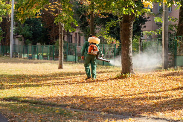 Best Pest Inspection Near Me  in Burley, WA
