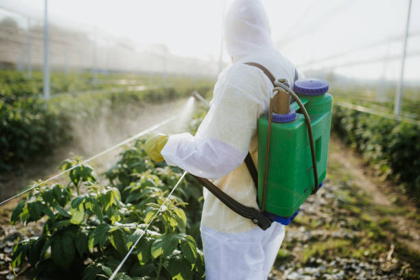 Burley, WA Pest Control Company